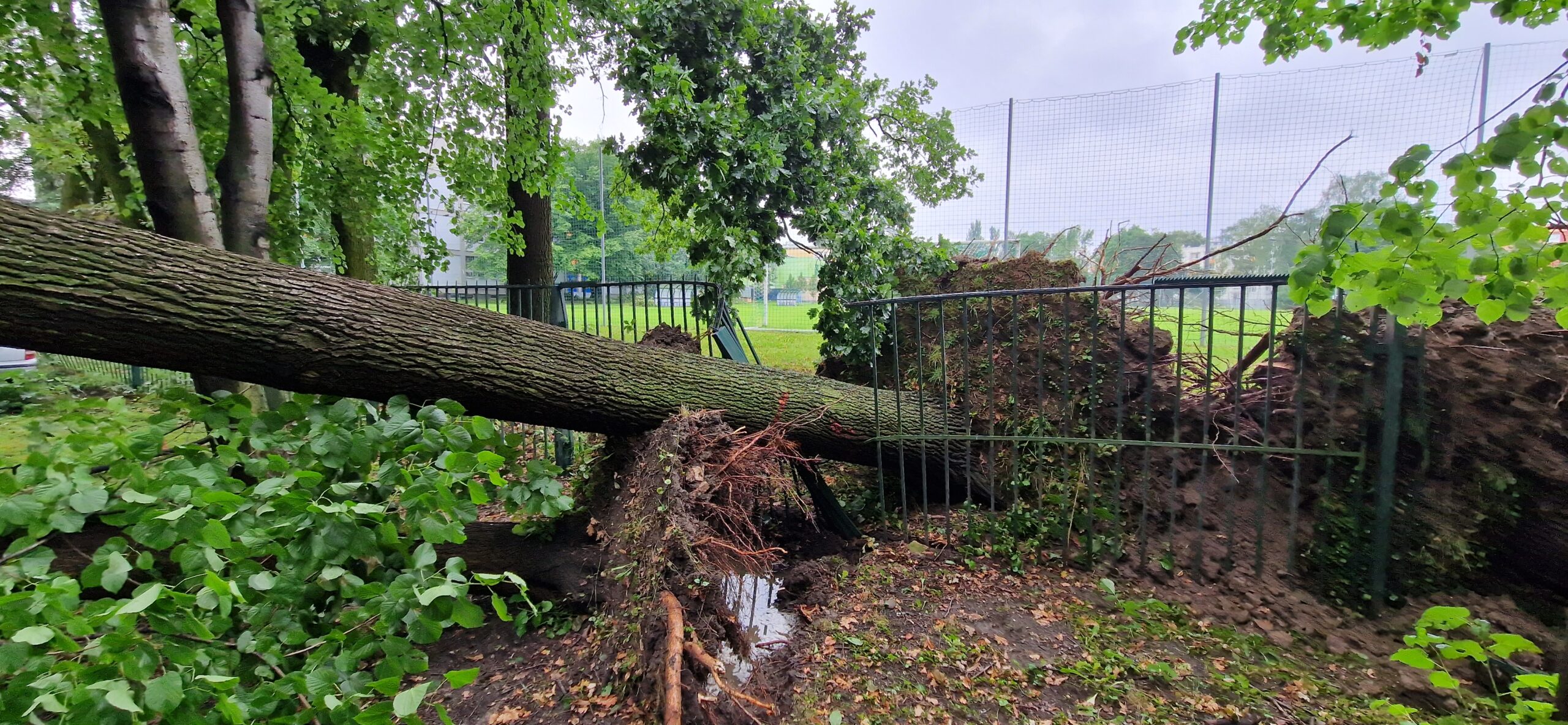 Vichřice s deštěm zasáhly i náš areál